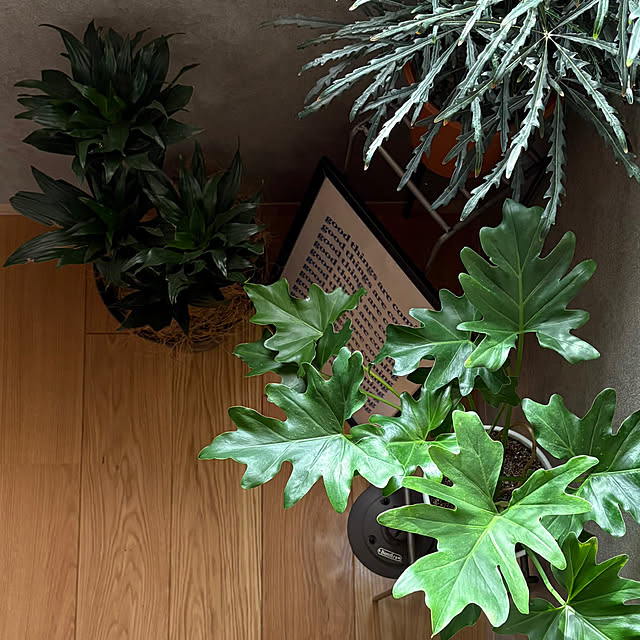 Rさんの実例写真