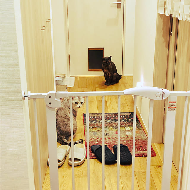 sakura_171220さんの実例写真
