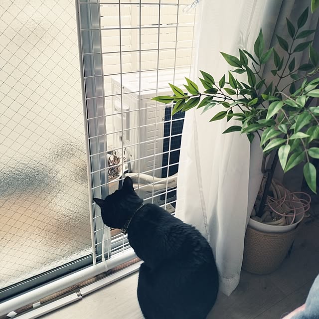 Tさんの実例写真