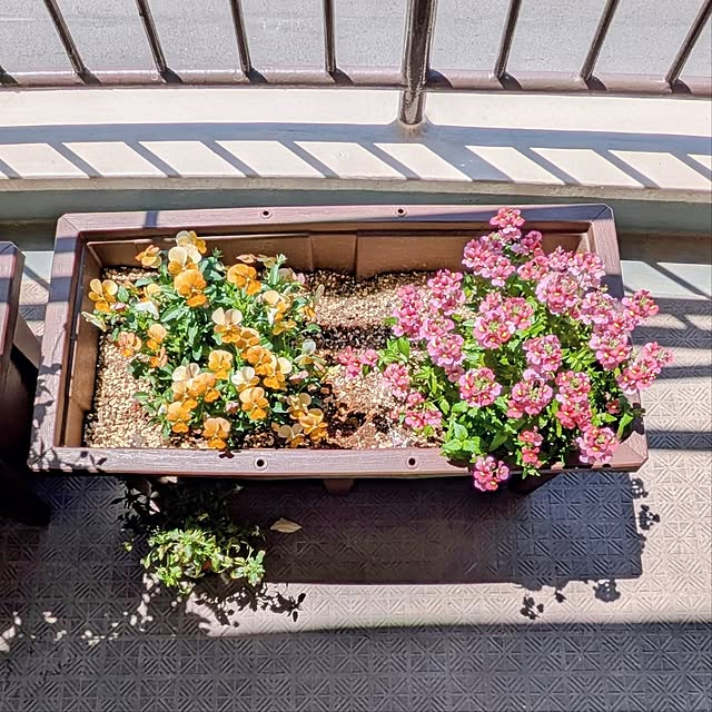 mi-saさんの部屋