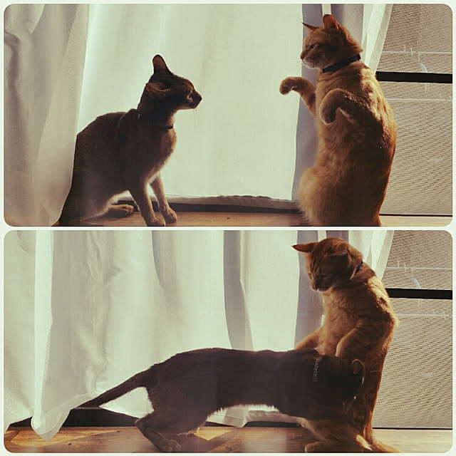 kichiさんの実例写真