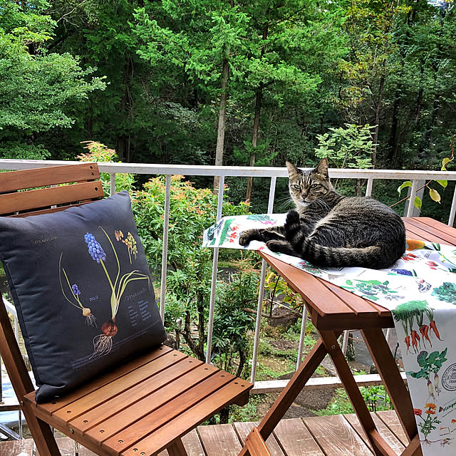 weさんの実例写真