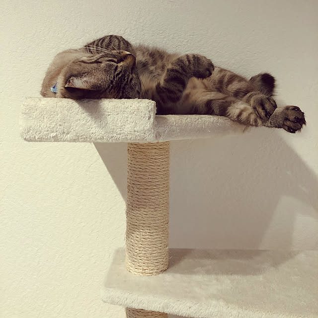 kuruさんの実例写真