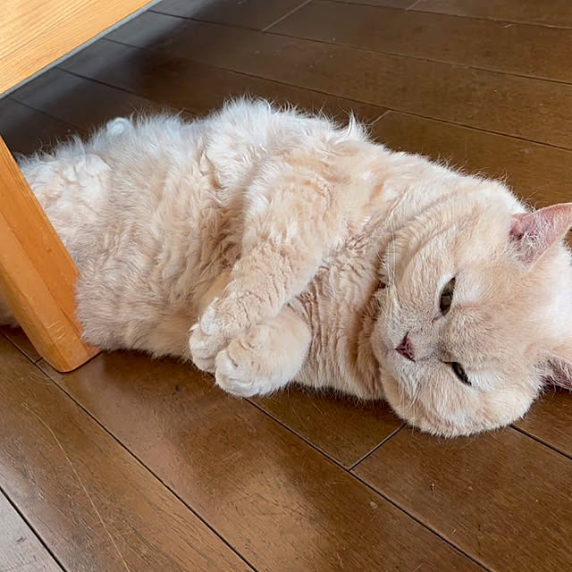 naokoさんの部屋