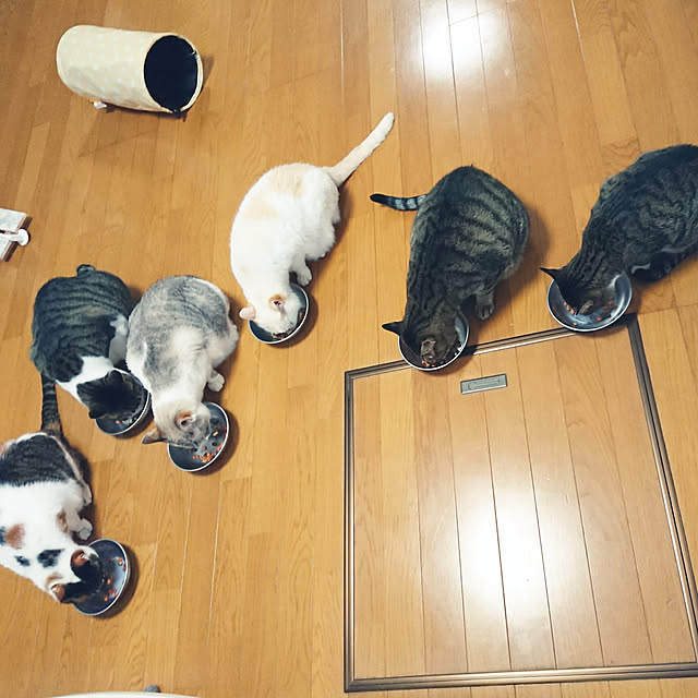 nachiさんの実例写真
