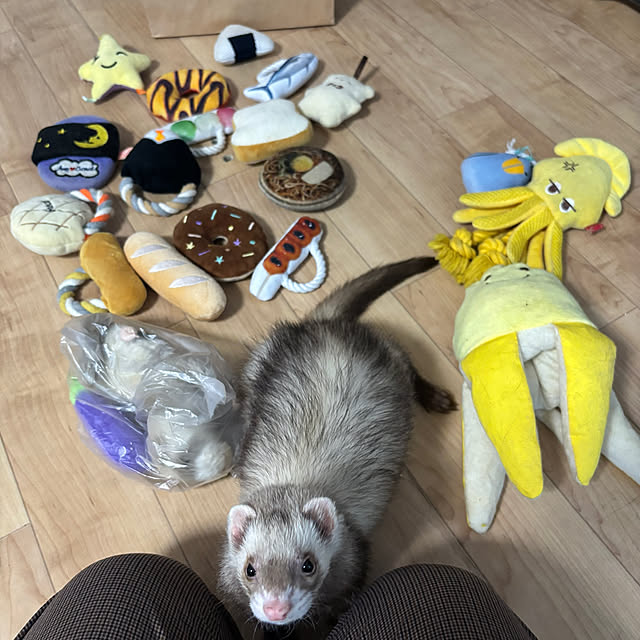 chillforemanpastlifeさんの実例写真