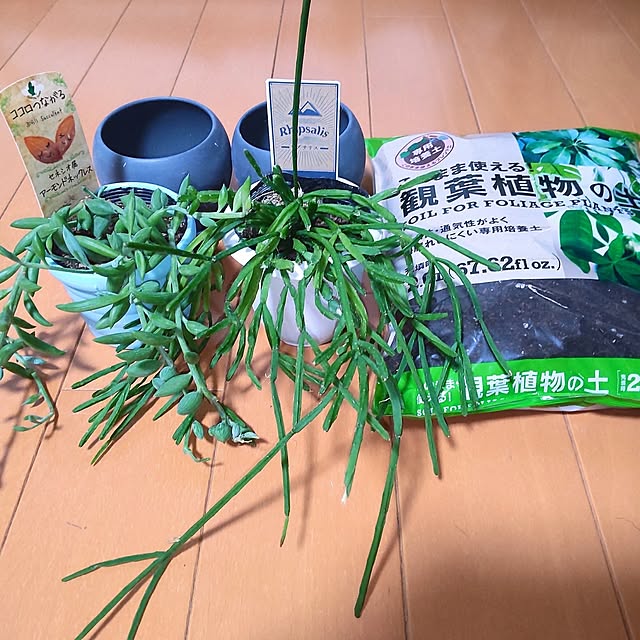 mtmtさんの実例写真
