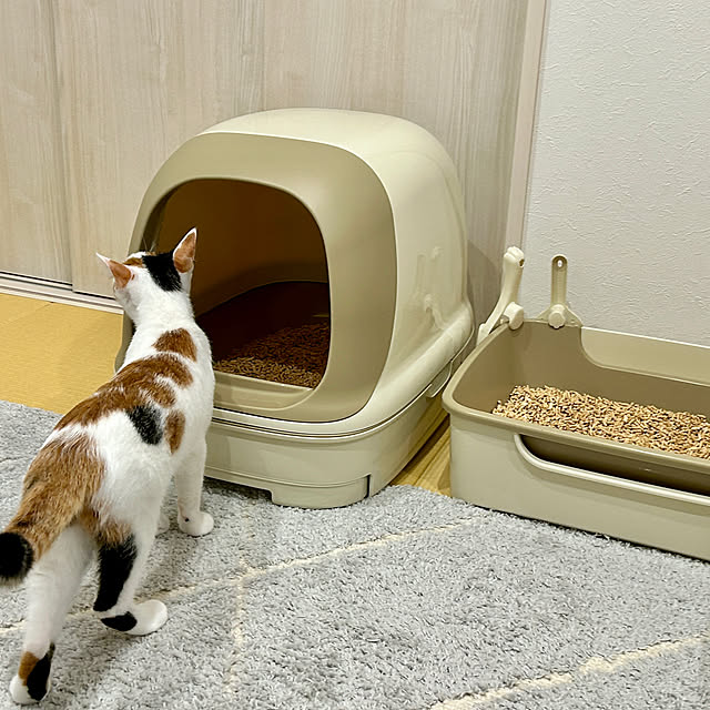 mocaさんの実例写真