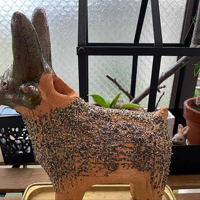 aureaさんの実例写真