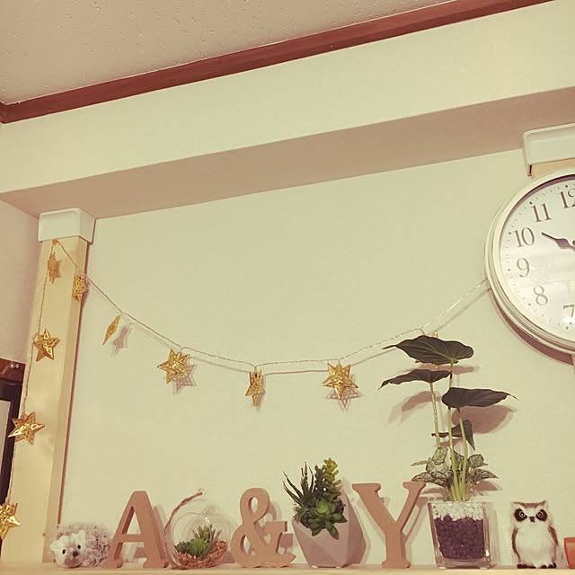 リビング/ダイソー/DIY/ニトリ/多肉植物...などのインテリア実例 - 2018-01-18 22:27:15