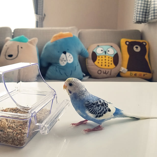 miiさんの実例写真