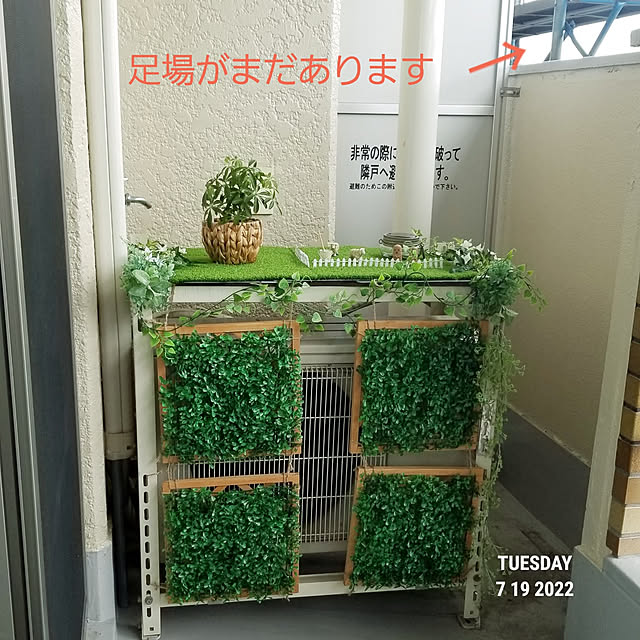 takoさんの実例写真
