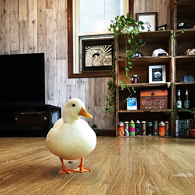 rby88さんの実例写真
