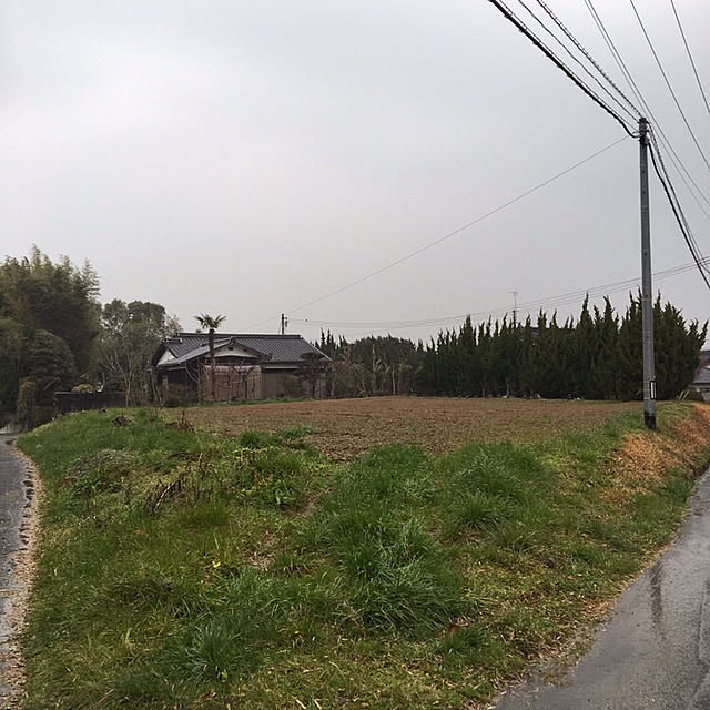 実例写真