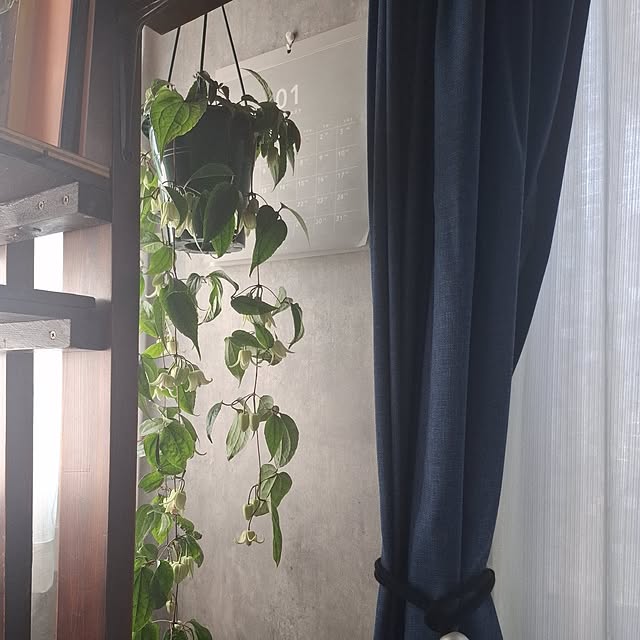 noaさんの実例写真