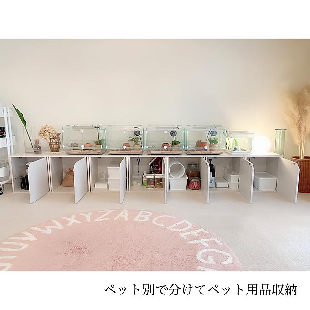 chaluさんの実例写真