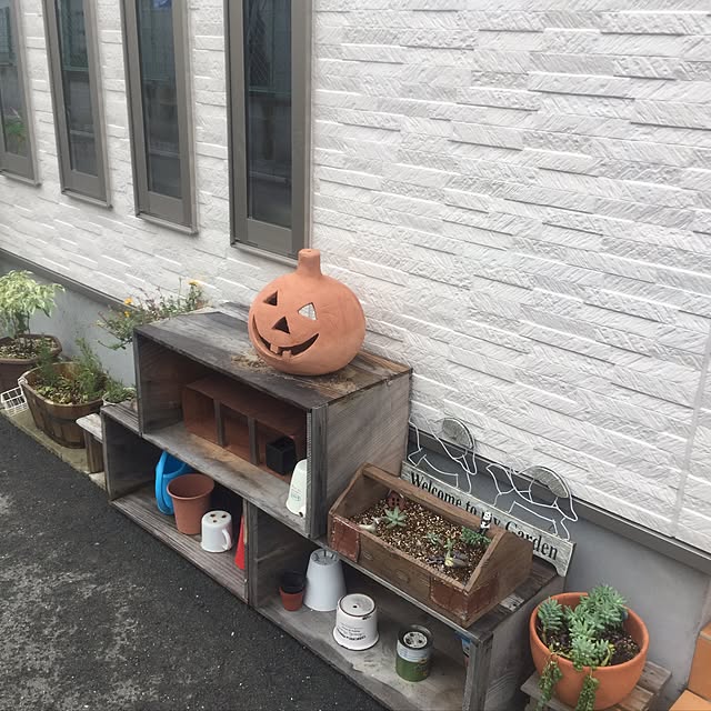 実例写真
