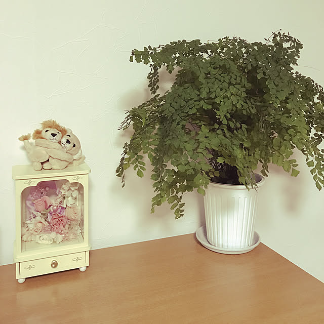 リビング/ナチュラル/観葉植物のインテリア実例 - 2018-06-02 18:43:54