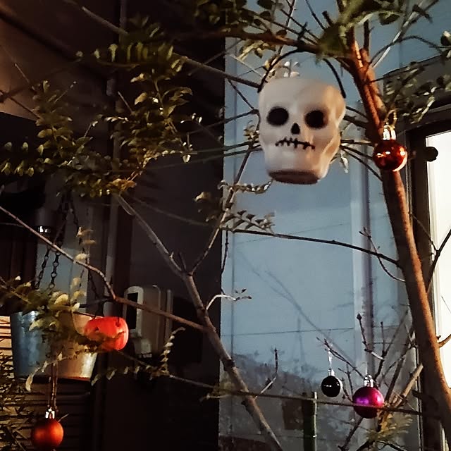 soccerkozouさんの部屋