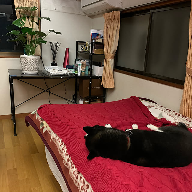 Shokoさんの実例写真