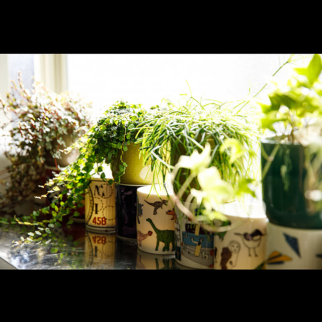 観葉植物/一人暮らしのインテリア実例 - 2020-01-31 22:18:18