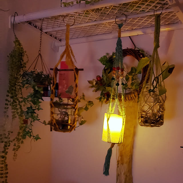 リビング/初投稿/観葉植物のインテリア実例 - 2019-11-12 12:29:16