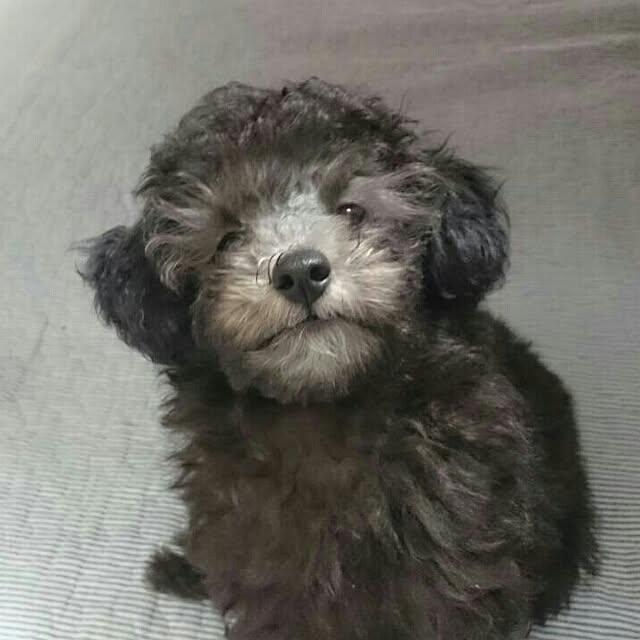 miyaviさんの実例写真