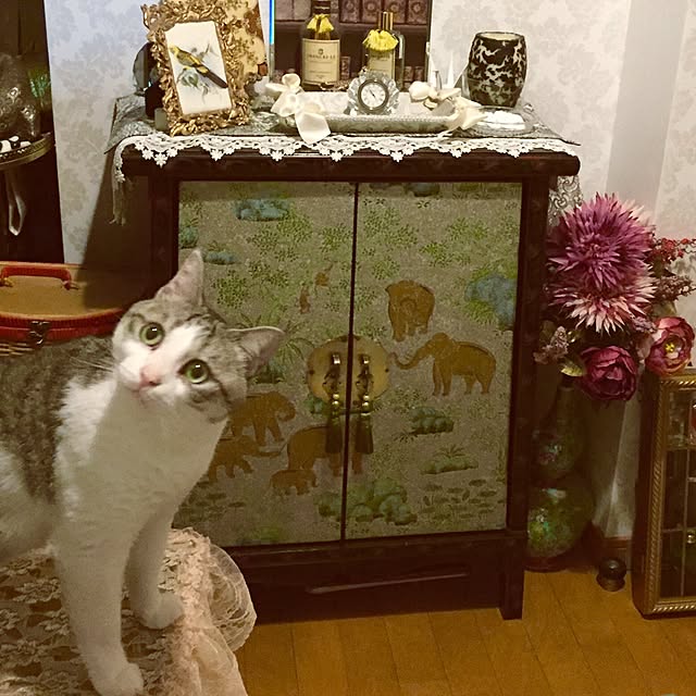 emmyyさんの実例写真