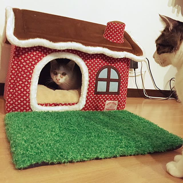 minkokoさんの実例写真