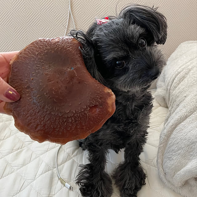 Leeさんの実例写真