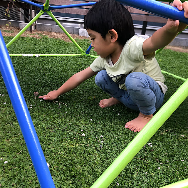 poa.t_hさんの実例写真