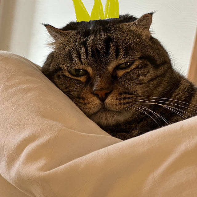 nene6さんの部屋