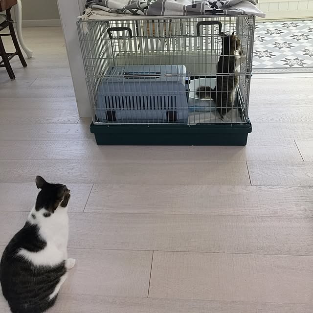 yuchiさんの実例写真