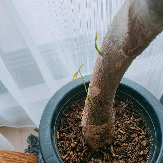 KEIKOさんの部屋