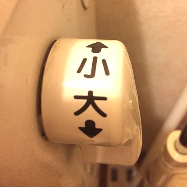 Ballさんの実例写真