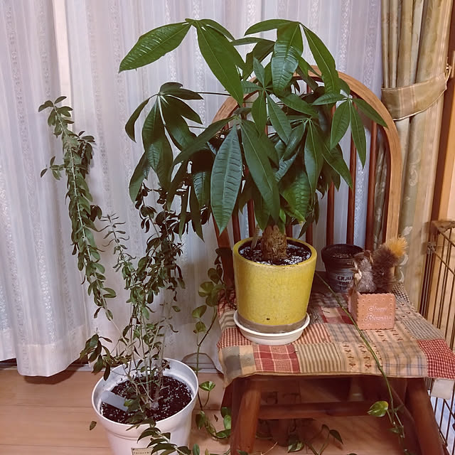 rikachakoさんの実例写真