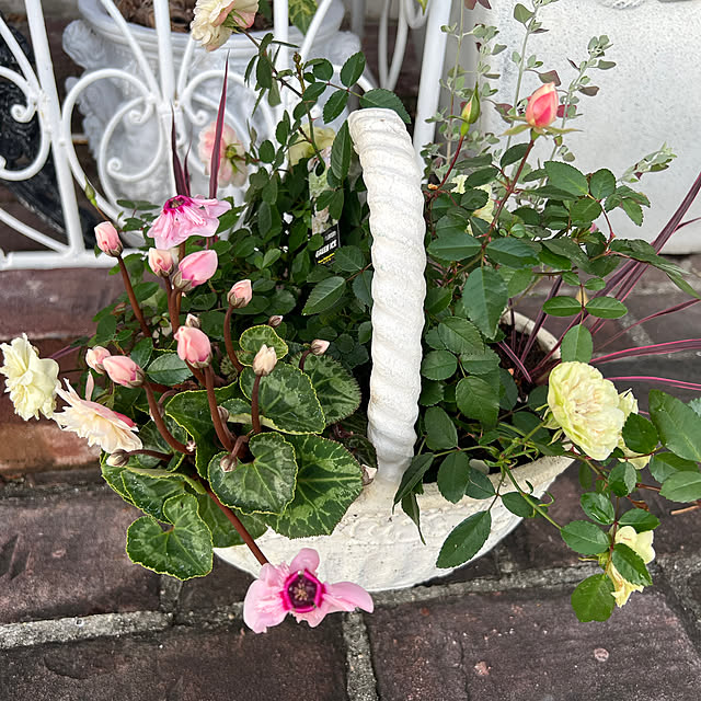 AYUKOさんの部屋