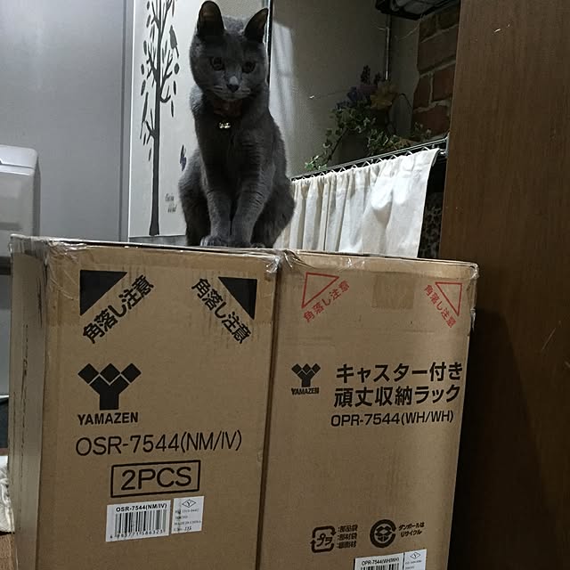 8717さんの実例写真
