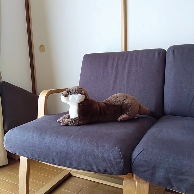 meruさんの部屋