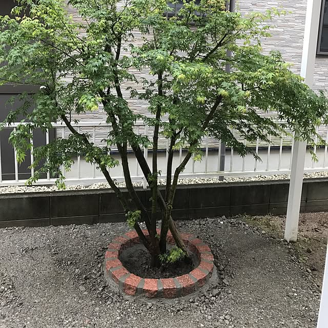 mako0301さんの実例写真