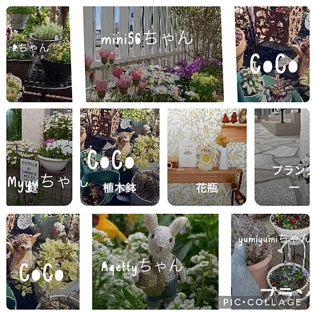 CoCo0617さんの部屋