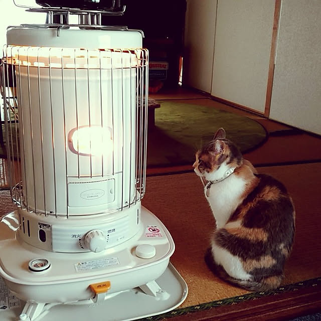fukuさんの実例写真
