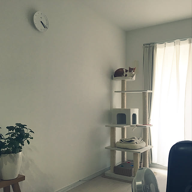 壁/天井のインテリア実例 - 2018-05-27 16:21:24