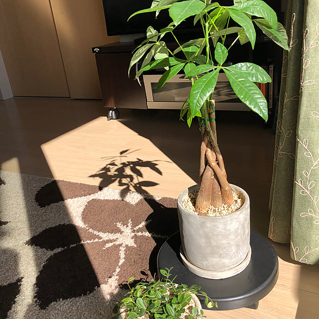 keyjujuairさんの実例写真