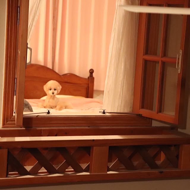 kyasamaruoさんの実例写真