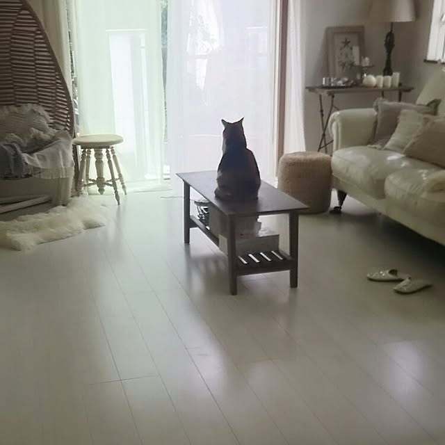mikemomoさんの実例写真