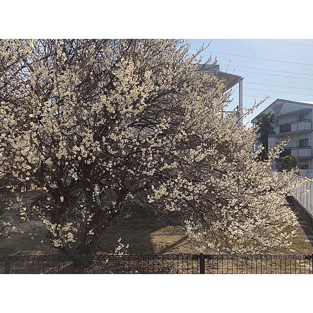 nono.0129さんの実例写真