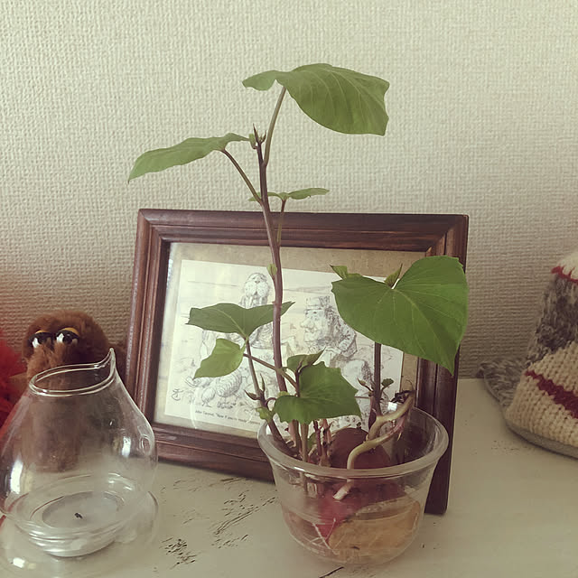 charさんの実例写真