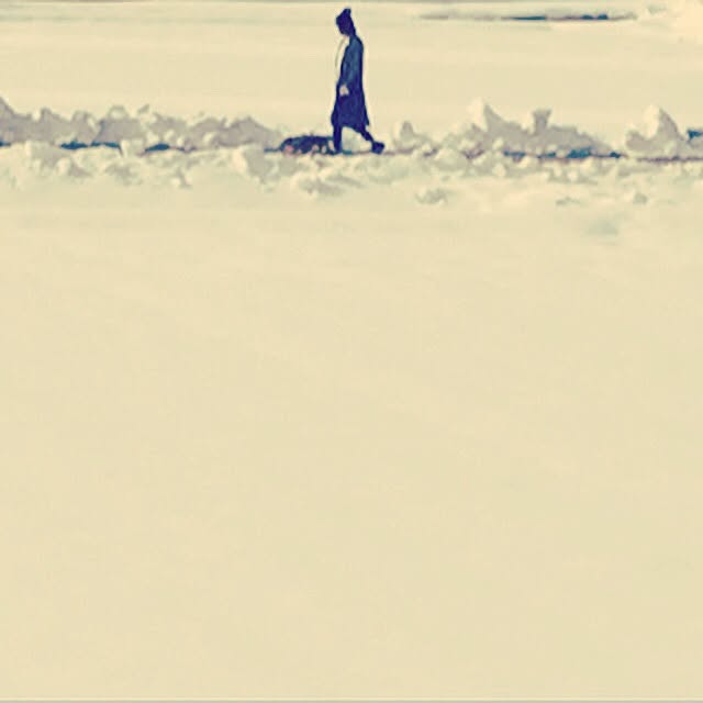 sakuさんの実例写真