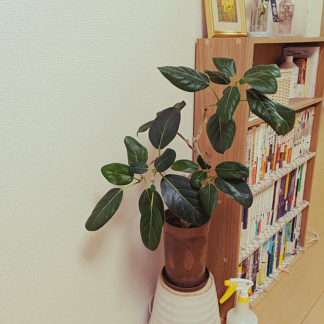 kirikoさんの実例写真